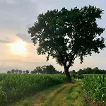 לינה וארוחת בוקר D'oude Hoeve Rijsbergen