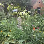 D'oude Hoeve
