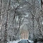 D'oude Hoeve לינה וארוחת בוקר Rijsbergen