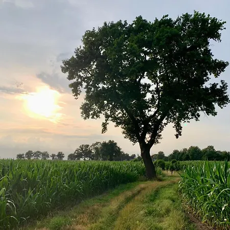 Bed & Breakfast D'oude Hoeve Rijsbergen