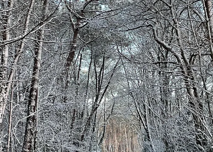 D'oude Hoeve Отель типа 