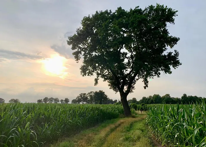 Bed and Breakfast D'oude Hoeve Rijsbergen